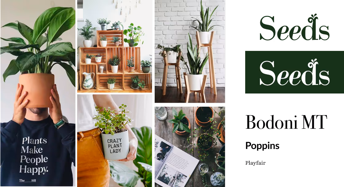 Moodboard Seeds logo font